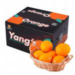 杨氏YANG'S 赣南脐橙 5kg装 单果200g以上 新鲜水果预售